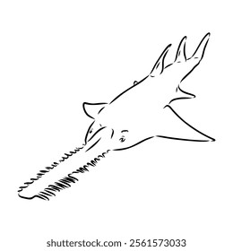 sawshark line vector illustration, sawfish sketch