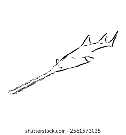 sawshark line vector illustration, sawfish sketch