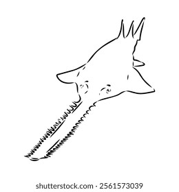 sawshark line vector illustration, sawfish sketch