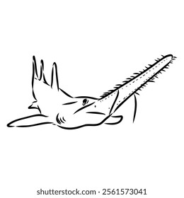 sawshark line vector illustration, sawfish sketch