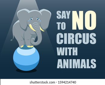 Say no to circus with animals. Poster against abuse animals in circuses. Banner with text and grey elephant on the ball on blue background. Problem of exploitation of wild animals in circuses. Flat.