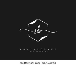 SB initial handwriting logo template vector