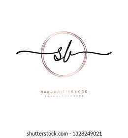 Sb Initial Signature Logo Handwriting Logo Stock Vector (Royalty Free ...