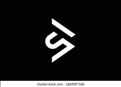 SB letter logo design on luxury background. BS monogram initials letter logo concept. SB icon design. BS elegant and Professional white color letter icon design on black background. B S