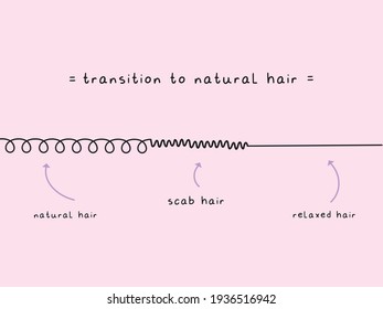 Scab hair. transition to natural hair scale post