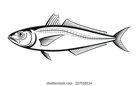 scad fish outline engraving vector illustration