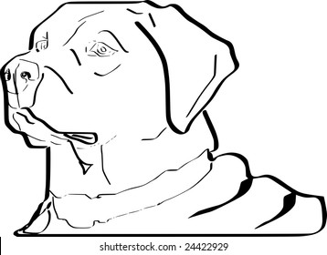 Scalable black and white sketch of Labrador Retriever