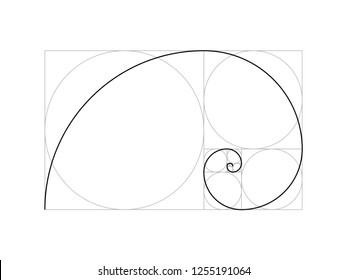 11,659 Golden Ratio Images, Stock Photos & Vectors 