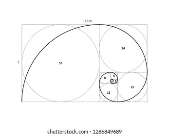 Golden Ratio Template Logo Vector Illustration Stock Vector (Royalty ...