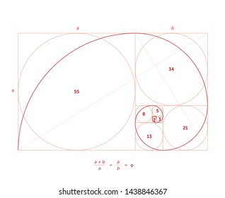 Scalable vector illustration of golden ratio with editable stroke