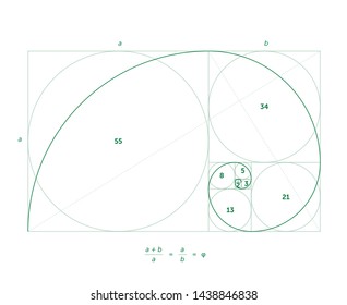 Scalable vector illustration of golden ratio with editable stroke
