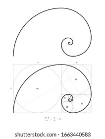 Scalable vector illustration of golden ratio with editable stroke