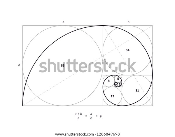 Scalable Vector Illustration Golden Ratio Editable Stock Vector ...