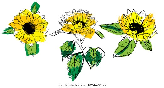 A scalable vector set of drawings of yellow sunflowers with green leaves, with strokes of paint, on a white background