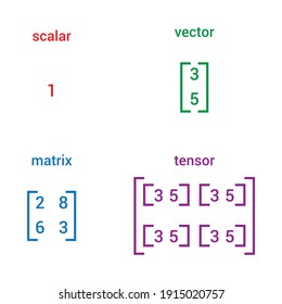 scalar vector matrix and tensor