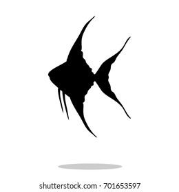 Scalare fish black silhouette aquatic animal. Vector Illustrator.