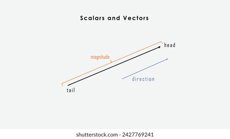 Scalars and Vectors , magnitude and direction , 