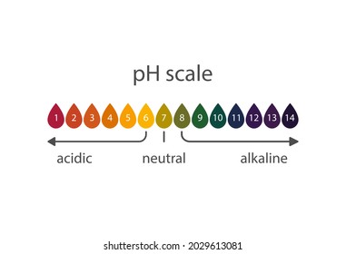 Escala de acidez del papel indicador de litmus. Ilustración vectorial de la tabla química de laboratorio para líquidos de ph.