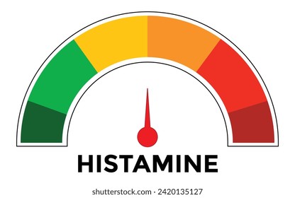 Scale with an arrow. The histamine measuring device. Sign tachometer, speedometer, indicator. Head of the man silhouette