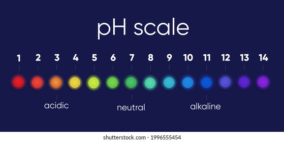 Scale diagram of the pH scale value for acidic and alkaline solutions, an infographic of the acid-base balance on a dark background.