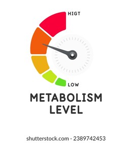 A scale for measuring the level of metabolism. Measurements of the body's metabolism. The indicator shows the level. Isolated vector element.