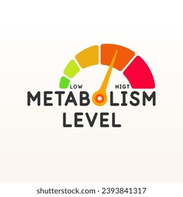 A scale for measuring the level of metabolism. Measurements of the body's metabolism. The indicator shows the level. Isolated vector element.