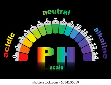 Scale Ph Value Acid Alkaline Solutions Stock Vector (Royalty Free ...