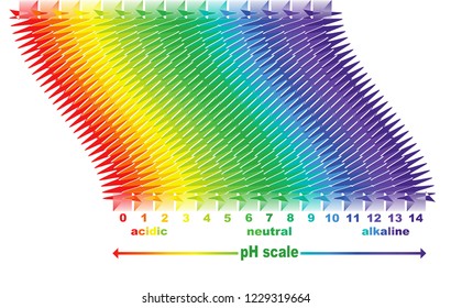 scale of ph value for acid and alkaline solutions, vector isolated or white background