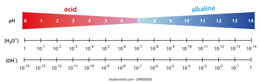 Scale Of Ph Value For Acid And Alkaline Solutions