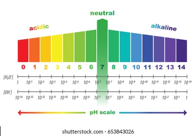 Scale Ph Value Acid Alkaline Solutions Stock Vector (Royalty Free ...