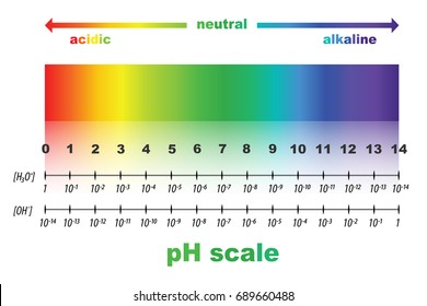 Scale Ph Value Acid Alkaline Solutions Stock Vector (Royalty Free ...