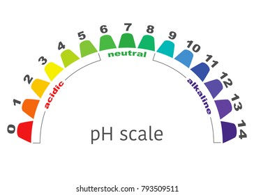 escala del valor ph para las soluciones ácidas y alcalinas, balance ácido-base infográfico. escala para el análisis químico base de ácido. ilustración vectorial aislada o fondo blanco