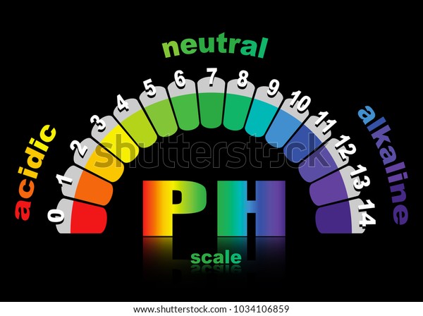 Scale Ph Value Acid Alkaline Solutions Stock Vector (Royalty Free ...