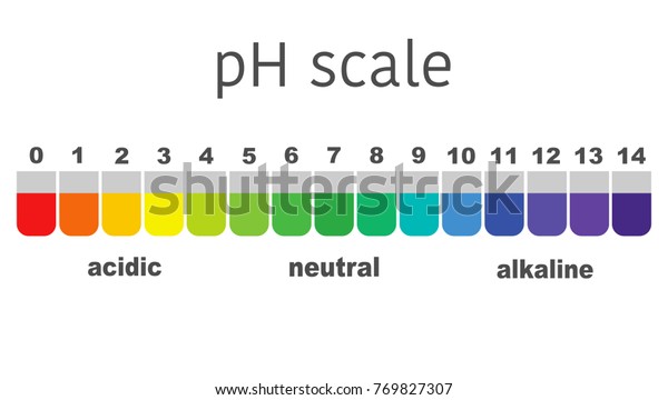 Scale Ph Value Acid Alkaline Solutions Stock Vector (Royalty Free ...