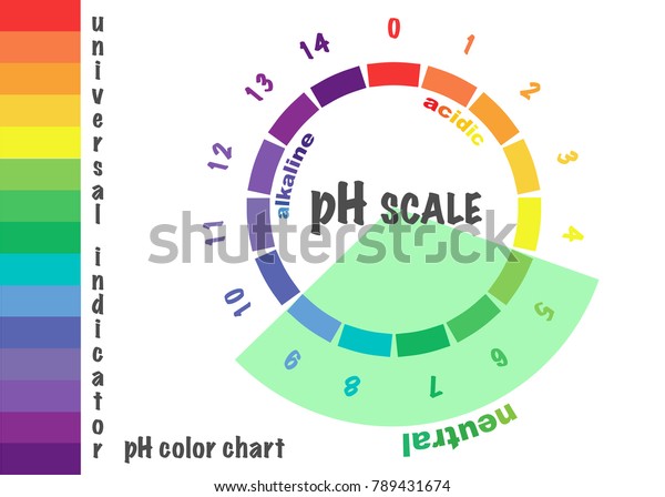 Scale Ph Value Acid Alkaline Solutions Stock Vector (Royalty Free ...