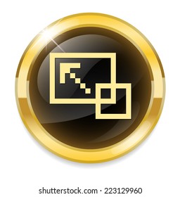 scales icon