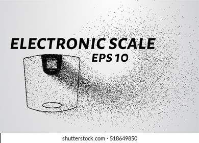 Scales of particles. The scales consist of dots and circles. Vector illustration.