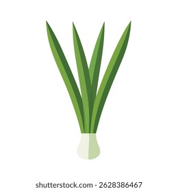 scallion 2D flat vector illustration icon, isolated on a white background.