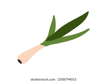 Scallion, fresh green spring onions. Sibies vegetable icon. Natural seasoning, spicy ingredient, condiment. Healthy organic spice. Flat graphic vector illustration isolated on white background