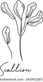 Scallion Micro Greens Sketch Vector Illustration