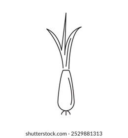 Scallion outline icon. Green onion simple line trendy style illustration for web and app..eps