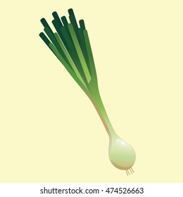 Scallion Vegetable Flat Vector Illustration