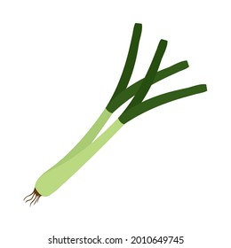 scallion vegetable icon on white background