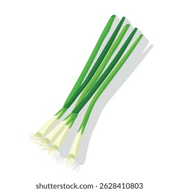 scallions 2D flat vector illustration icon, isolated on a white background.
