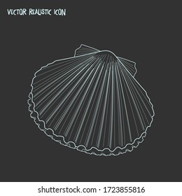 Scallop icon line element. Vector illustration of scallop icon line isolated on clean background for your web mobile app logo design.