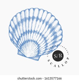 Scallop illustration. Hand drawn vector seafood illustration. Engraved style seashell. Vintage mollusk image. Pearl shell illustration