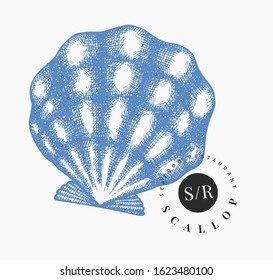 Scallop illustration. Hand drawn vector seafood illustration. Engraved style seashell. Vintage mollusk image. Pearl shell illustration