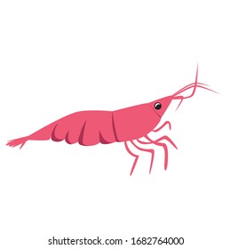 Scallop is isolated on a white background like a wild animal in the sea or ocean. Scandinavian stock vector illustration with cute character for children or baby