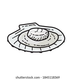 Scallop isolated on white background. Vector illustration of seafood.