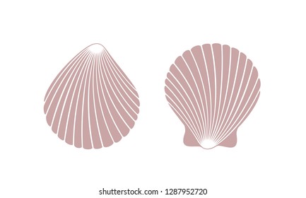 Scallop logo. Isolated scallop  on white background